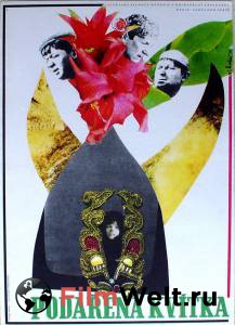 �������� ������ ����� ����������� �����