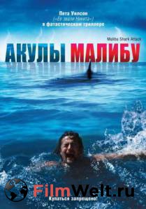     () - Malibu Shark Attack 