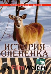 Онлайн кино История олененка Онлайн кино История олененка