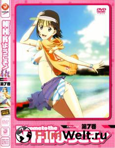 ����� ������ ����� ���������� � N.H.K. (������) ���������