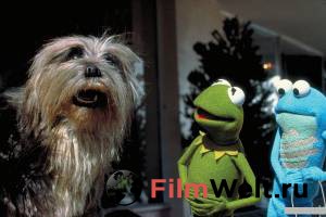  :    () - Kermit's Swamp Years - [2002]   