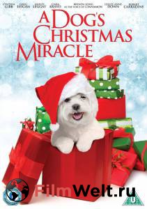- () - My Dog's Christmas Miracle - [2011]   