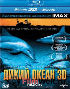      3D / (2008) 