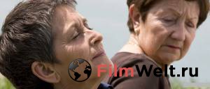 80 ���� 2010 ������ ���� �� ������