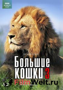 �������� ������������� ������ ����� BBC: ����� ����� (��) - [2000]