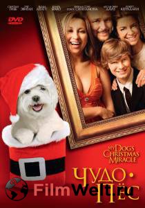   - () - My Dog's Christmas Miracle - 2011
