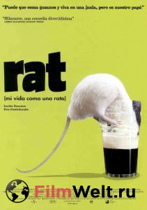      - Rat - 2000 