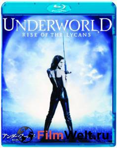      :   / Underworld: Rise of the Lycans / 2008