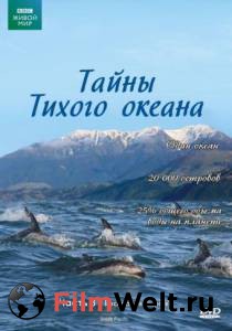 ����� ������ ������ (����-������) ������ ����� ���������