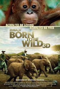    - Born to Be Wild - (2011)   