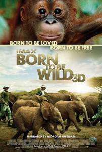 ��������� �� ���� / Born to Be Wild / [2011] ������ ��� �����������