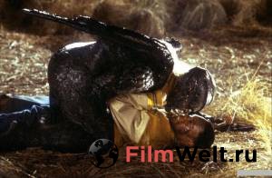    2 / Jeepers Creepers II 