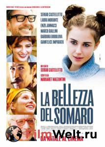     - La bellezza del somaro - [2010]