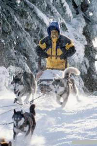     Snow Dogs [2002]  