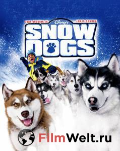     / Snow Dogs / 2002 