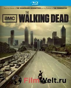    ( 2010  ...) / The Walking Dead / 2010 (7 ) 