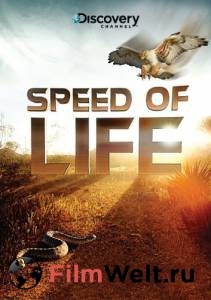   Discovery:   (-) Speed of Life 2010 (1 )   HD