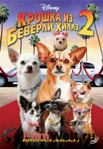 Кино Крошка из Беверли-Хиллз 2 (видео) - 2010 смотреть онлайн бесплатно Кино Крошка из Беверли-Хиллз 2 (видео) - 2010 смотреть онлайн бесплатно