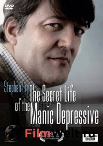 Безумная депрессия со Стивеном Фраем (ТВ) - Stephen Fry: The Secret Life of the Manic Depressive - 2006 смотреть онлайн без регистрации
