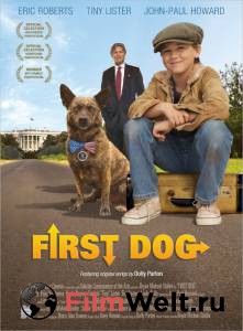      / First Dog / 2010 