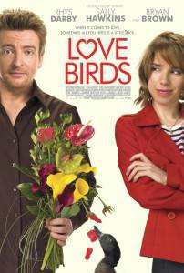    / Love Birds  
