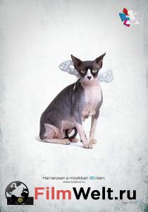 �������� ������ ����� ��� ������! �������� �� ������� �������� - S.O.S Love! The Million Dollar Contract