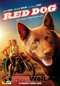     / Red Dog