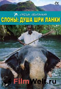 Смотреть фильм онлайн Слоны: Душа Шри-Ланки [2000] бесплатно