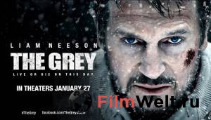    / The Grey / 2011   HD