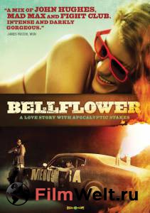   ,  - Bellflower