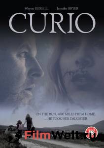    / Curio / 2010  