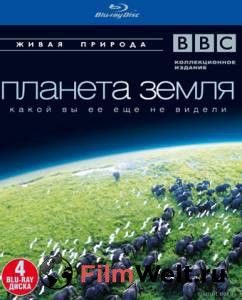   BBC:   (-) / 2006 (1 )