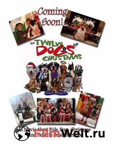 Онлайн кино 12 рождественских собак - The 12 Dogs of Christmas смотреть Онлайн кино 12 рождественских собак - The 12 Dogs of Christmas смотреть