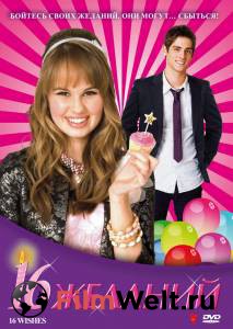     16  () 16 Wishes