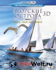     / Azores 3D: Explorers, Whales &amp; Vulcanos / 2011 