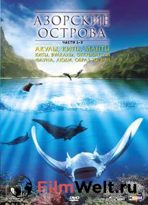     Azores 3D: Explorers, Whales &amp; Vulcanos (2011)