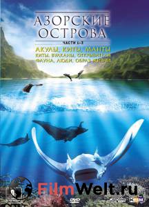 Онлайн кино Азорские острова - Azores 3D: Explorers, Whales & Vulcanos смотреть Онлайн кино Азорские острова - Azores 3D: Explorers, Whales & Vulcanos смотреть