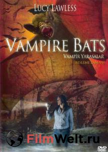     () Vampire Bats   
