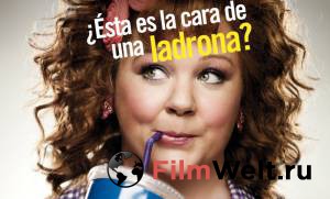    ,   Identity Thief