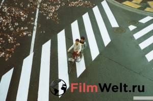 ����� �� ������ 2004 ������ ���� �� ������