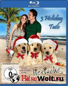 Кино Три рождественские сказки - 3 Holiday Tails - 2011 онлайн Кино Три рождественские сказки - 3 Holiday Tails - 2011 онлайн