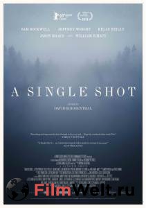    / A Single Shot / [2013]   