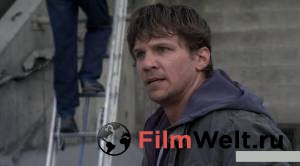 ������ ��� 2008 ������ ���� �� ������