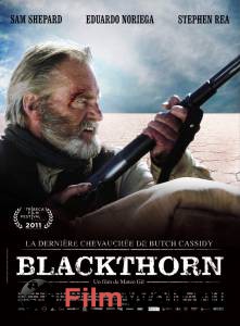 Blackthorn   