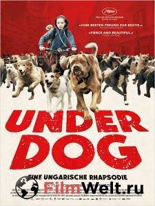 �������� ������ ����� ��� Fehr isten 2014