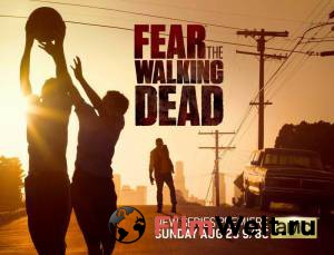    ( 2015  ...) - Fear the Walking Dead - [2015 (2 )]  