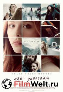       / If I Stay 