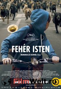 �������� ������������� ������ ����� ����� ��� - [2014]