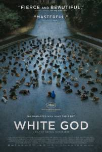 Смотреть фильм Белый Бог / [2014] онлайн