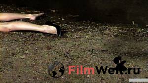 �/�/�: ����� ����� 2014 ������ ���� �� ������